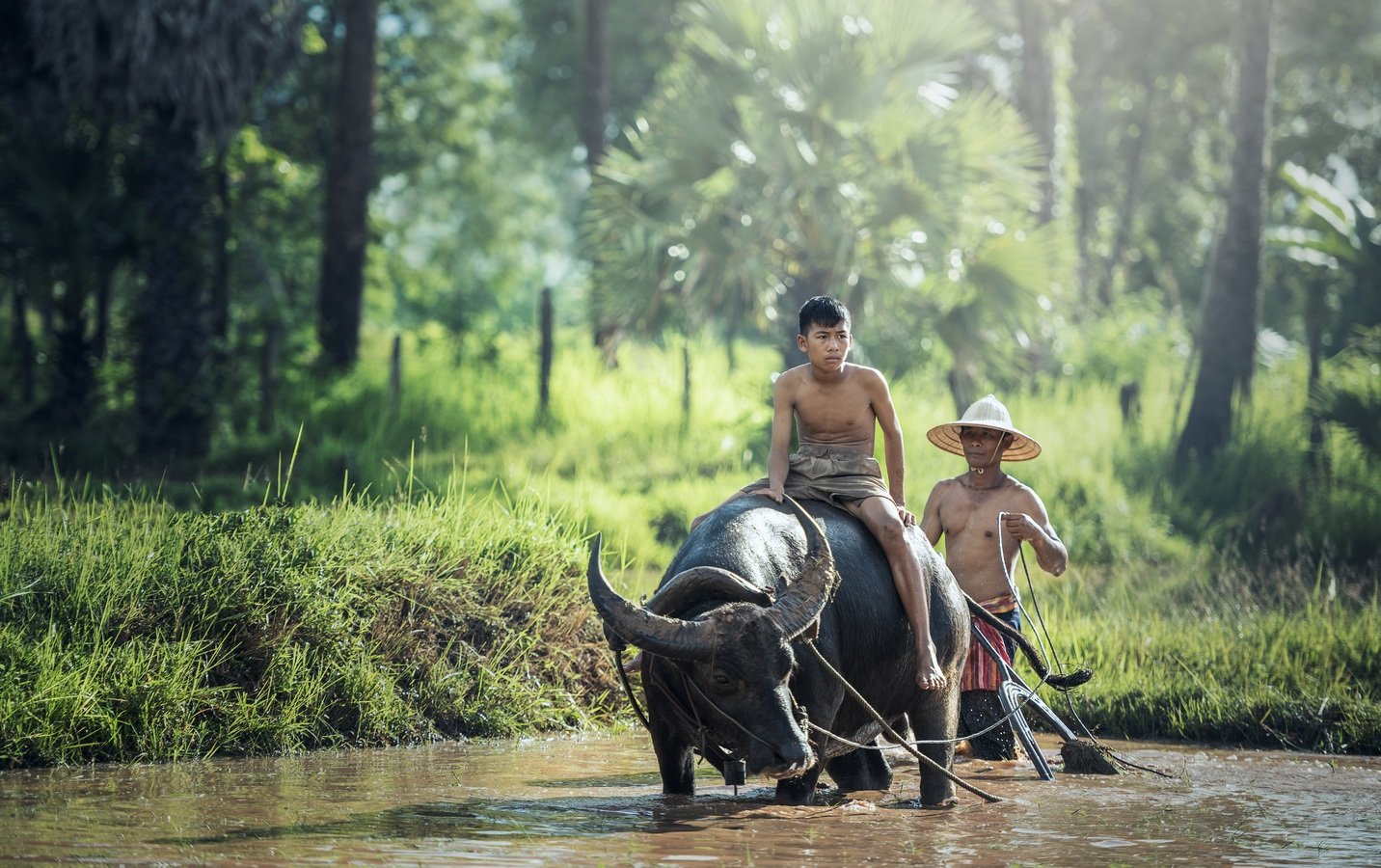Jungle safari the most adventures sightseeing-the course of Western Civilization