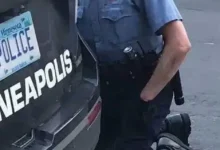 民主党像控制傻子一样控制黑人,让他们成为自己的打手,像希特勒的冲锋队一般,然后彻底操纵美国的民主(中英文版)-the course of Western Civilization