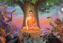 我们人,生而有无穷无尽的痛苦、烦恼,生而悲剧(中英文版)-the course of Western Civilization